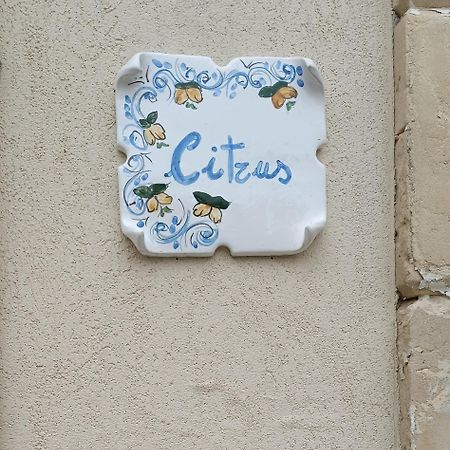 Citrus Verde Syracuse Екстер'єр фото